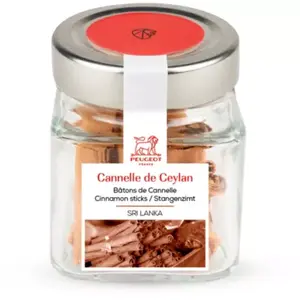 Epice PEUGEOT batons de cannelle pas cher