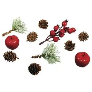 Rayher Mélange naturelle avec pommes et baies, assorti, 2-12cm, sct.-LS 11pces pas cher