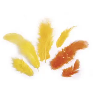 Rayher 8511720 Mélange de plumes 3-10 cm 10 g - Jaune/orange