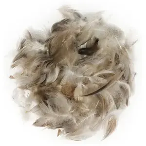 Rayher Mélange de plumes, 10 g pas cher