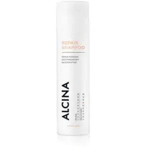 ALCINA Shampooing réparateur - 1 x 250 ml - Soin régénérant avec effet réparateur pour cheveux secs, ternes ou ternes pas cher