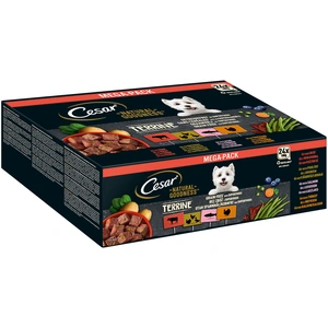 Cesar Natural Goodness sans céréales avec des superaliments 24 x 100 g pour chien Terrine (volaille, dinde, boeuf, saumon) pas cher