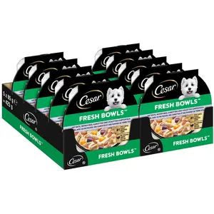 Lot économique : 20x85g Cesar Fresh Bowls canard en sauce nourriture pour chiens humide pas cher