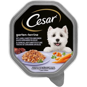 Mégapack Cesar 14 x 150 g pour chien - agneau, carottes, coriandre en gelée pas cher