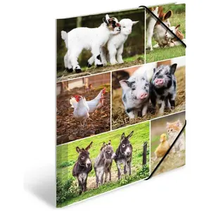 HERMA Classeur A4 ferme pour enfant en carton avec motif animal, élastique, rabat intérieur et impression intérieure pour garçons et filles pas cher