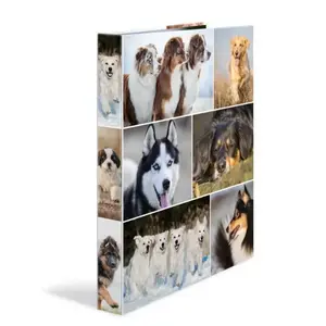 HERMA Classeur ... anneaux "chiens", A4, m'canisme ... 4 anneaux 0,000000 Noir pas cher