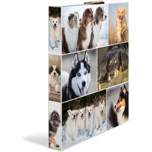 HERMA Classeur à anneaux 'Animals' - chiens, A4, mécanisme à pas cher