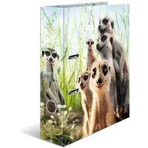 HERMA 20048 Classeur A4 animaux suricate 7 cm de large en carton avec impression intérieure pour l'école et le bureau Classeur à anneaux pour enfants garçons et filles pas cher