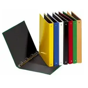 Pagna classeur ? anneaux basic colours, m?canisme ? 4 20605-02 pas cher