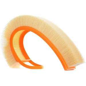 Mahle Luchtfilter pas cher