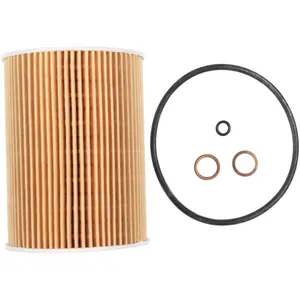 Oliefilter OX254D3 Mahle pas cher