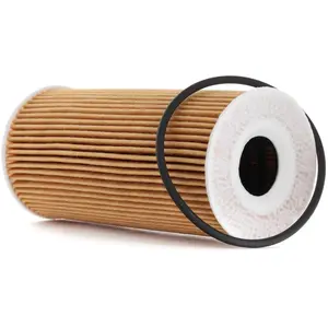 Oliefilter OX366D Mahle pas cher