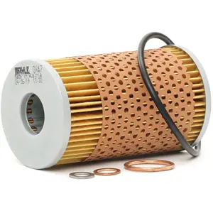 Oliefilter OX47D Mahle pas cher
