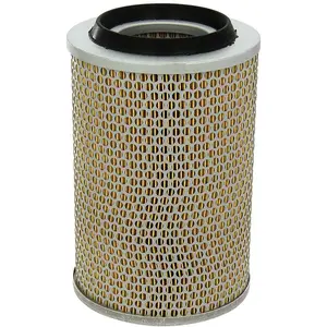 Luchtfilter LX496 Mahle pas cher