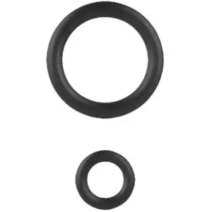 Lot de 2 joints toriques pour nettoyeurs haute pression électriques - RAC788 - Ryobi pas cher