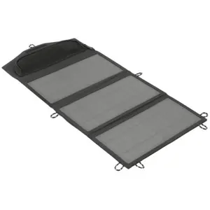 Ryobi Panneau Solaire 21W - 2 Ports USB-A 12W - Permet d'alimenter Vos appareils - RYSP21A