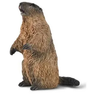 Collecta Figurine Marmotte - (S) pas cher