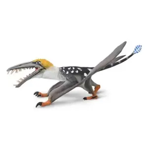 COLLECTA Dearc Sgiathanach - 1:3 pas cher