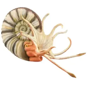Collecta Speeldier Pleuroceras 11,9 Cm Abs Kunststof Wit