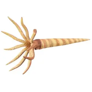 Collecta animal de jeu préhistoire Orthoceras 15,2 cm ABS beige