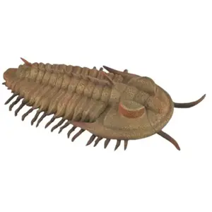 Comparateur de prix : Jeu préhistorique Trilobites - Collecta - ABS brun - 9,5 cm