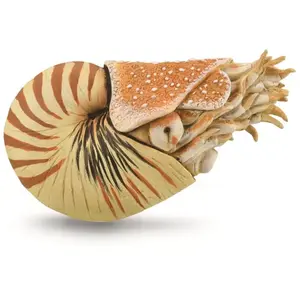 Collecta Speeldier Prehistorie Nautilus 10 Cm Abs Beige