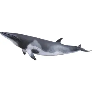Collecta Speelfiguur Dwergvinvis Grijs 20 X 6 Cm pas cher