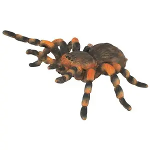 Collecta Figurine Insecte - Mygale pas cher