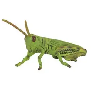 Figurines Collecta - Insecte - Sauterelle