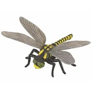 Dam CollectA Golden-Ringed Dragonfly pas cher