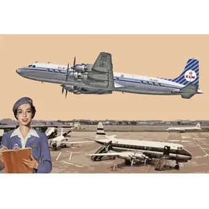 Roden Douglas Dc-7c Royal Dutch Airlines (Klm) - Maquette D'avion Roden Rod302-Roden pas cher