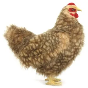 Anima Anima - Peluche Poule Beige - 31 Cm