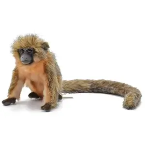 Hansa TiTi Aap KnuffelVendu parbol