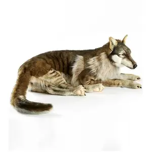 Peluche Loup Couché Géant 125 cm - ANIMA - Pour Enfant - Couleur GrisVendu parrakuten