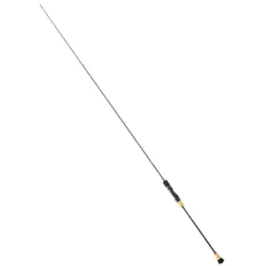 Daiwa Canne Jigging Saltiga SlowVendu parwaveinn