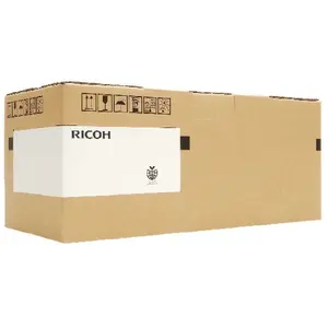 Ricoh PALLADIUM BOOKS Alle Gamer - Ordbogen pas cher