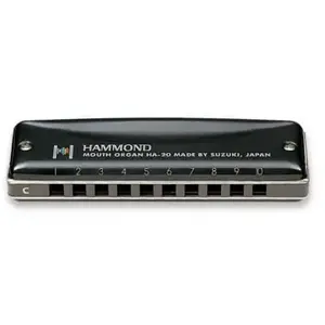 Suzuki hammond HA-20 - La pas cher