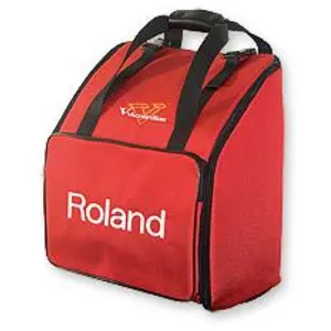 Instruments de musique et accessoires : Roland BAG-FR-1 pas cher
