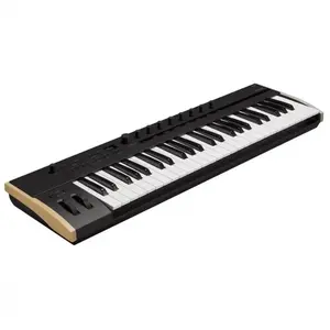 Korg - Clavier maître 49 touches aftertouch polyphonique et MIDI 2.0 pas cher