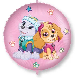 Procos Vegaoo - Skye en Everest folieballon 46 cm pas cher