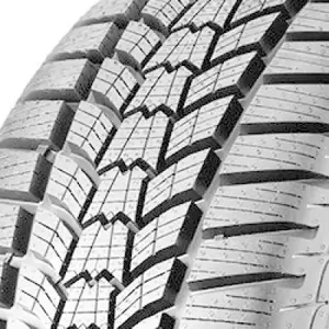 Sava Eskimo HP2 195/55 R15 85H