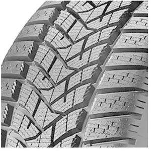 Dunlop Winter Sport 5 205/55 R17 95V pas cher