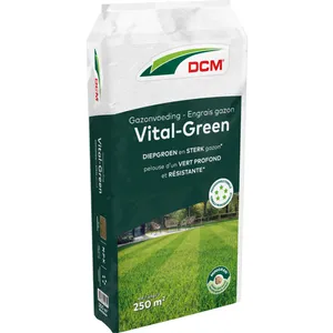 DCM VITAL-GREEN GAZON 10KG