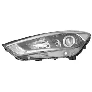 Van Wezel Koplamp