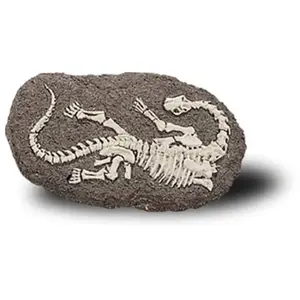 DINOSAURUSFOSSIL BONES&MORE Dig-IT-out pas cher