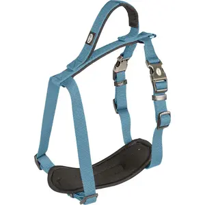 duvoplus, Harnais Confortable et Contemporain Gamme EXPLOR North, Taille 40-50cm/15mm pétrole, Idéal pour des promenades et expéditions aventureuses, Résistants aux Intempéries pas cher