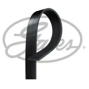 Gates Multiriem pas cher