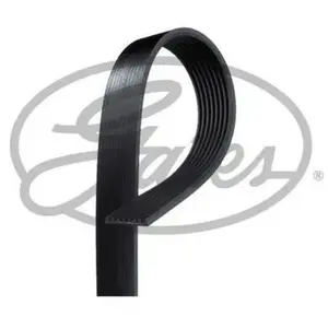 Gates Multiriem