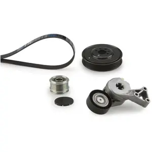 Gates Multiriem set