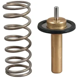 GATES Thermostat d'eau